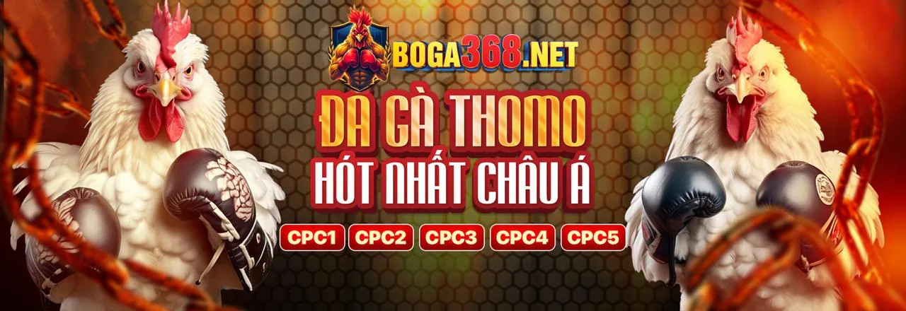 Đá gà sun789 apk